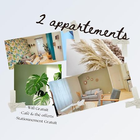 Appartements A Theme Clermont-Ferrand Kültér fotó