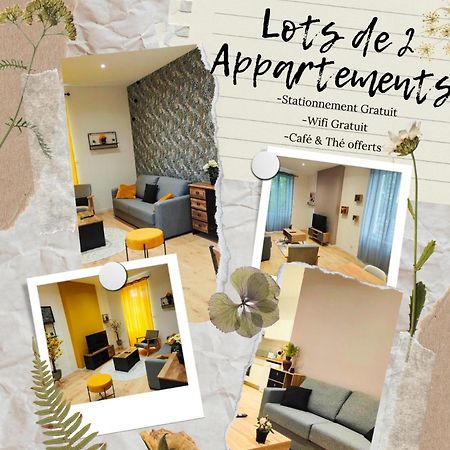 Appartements A Theme Clermont-Ferrand Kültér fotó
